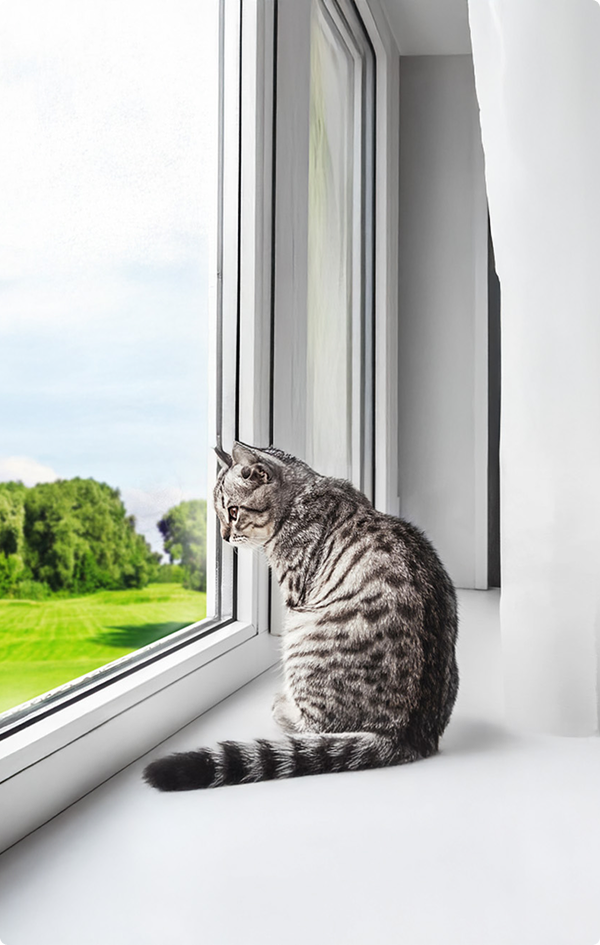 destacado-vidrio-certificado